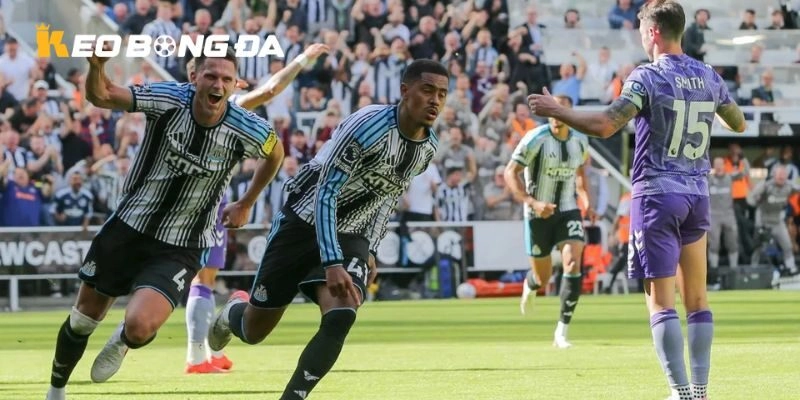 Đánh giá nhanh phong độ thực tại của Millwall vs Newcastle United